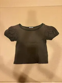 ミナペルホネンパフスリーブ Tシャツのサムネイル