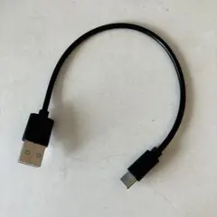 TYPE C
