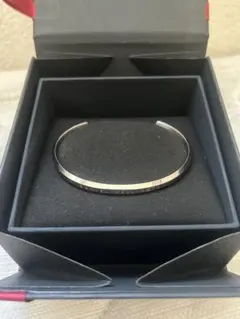DANIEL WELLINGTON バングル シルバーカラー