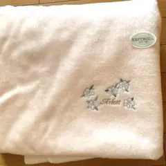 Item thumbnail for item 041ad537-0f98-4929-9091-2ce54fae61aa