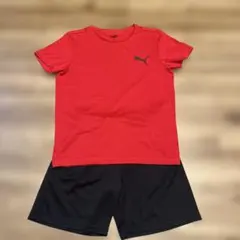 PUMA半袖Tシャツ ハーフパンツ