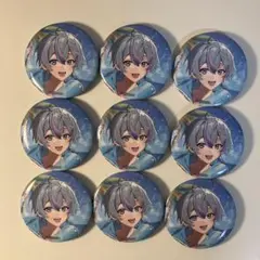 シクフォニ　雨乃こさめ　夏ビジュ　夏描き下ろし　水着　缶バッジ　9個