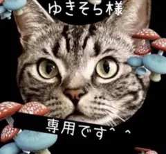 ゆきそら様 専用