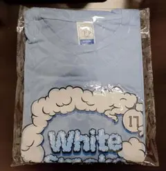 北海道日本ハムファイターズ　伊藤大海オリジナルTシャツ　一枚のみ