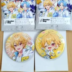 すにすて　やなとくん　缶バッジ