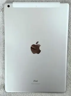 ジャンク　iPad (第９世代) Wi-Fi 256GB スペースグレイ APPLE 〔中古〕iPad (第9世代) Wi-Fiモデル 256GB スペースグレイ