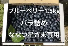 ブルーベリー1.5kgバラ詰め