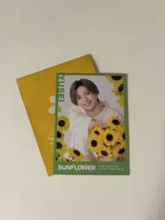 FANTASTICS 八木勇征 フォトカ シクレ