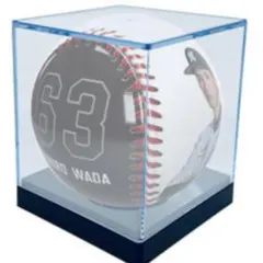 Item thumbnail for item 8c5e3782-d8db-426e-9c65-be4bb37f09b3