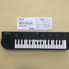 2026年最新】CASIO PS-20の人気アイテム - メルカリ