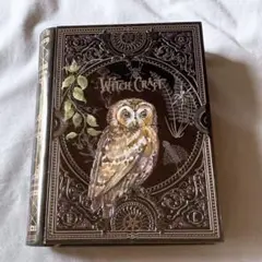 KALDI オリジナル 魔法辞書クッキー缶　2025 カルディ