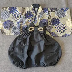 Item thumbnail for item 8861c02c-7657-4c9e-bcaa-6f49d2bd6a53