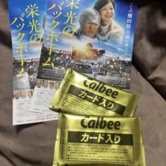 カルビー カード入り 2パック 栄光のバックホーム
