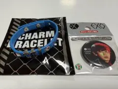 EXO CHANYEOL グッズセット