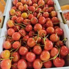３０日ーI　　加工用　紅秀峰　１ｋｇ　過熟気味のサムネイル