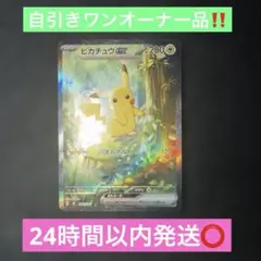 ポケモンカードゲーム〜 ピカチュウex 764/742 SAR仕様