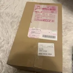 ポケモンセンター スペシャルBOX トウホク シュリンク付