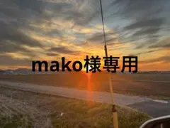mako様専用ページ