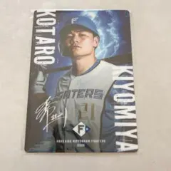推しくじ 北海道日本ハムファイターズ 清宮幸太郎 BIGアクリルスタンド