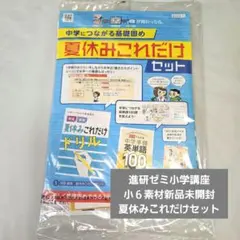 【新品】進研ゼミ小学講座 小6 夏休みこれだけセット