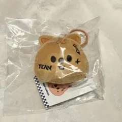 2025年最新】straykids ぬいぐるみ ハンの人気アイテム - メルカリ