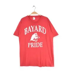 80s ジャージ―ズ USA製 ヴィンテージTシャツ アーチロゴ L 古着
