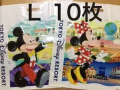 ディズニー　ショップ　袋　ミッキー　ミニー　Ｌ　10枚　（18）