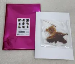 嘴平伊之助　鬼滅の刃劇場版　キービジュアルアクリルスタンドB