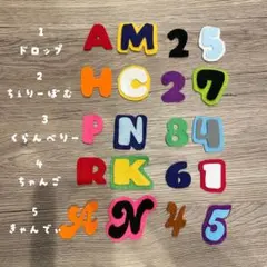 名前 オーダー★ ひらがな カタカナ えいご ワッペン アプリケ フェルト 名札