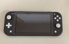 Nintendo Switch Lite グレー 本体2025年2月購入超美品