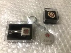 ANA 全日空 航空機 旧ロゴ ダヴィンチマーク ピンバッジ ネクタイピン