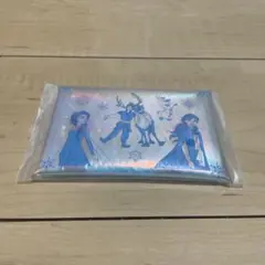 アナと雪の女王 マルチケース