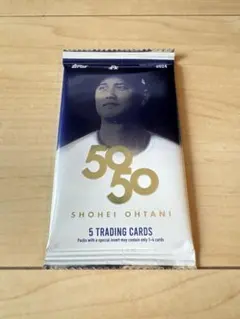 Item thumbnail for item c8bed375-5b55-456a-bd1e-badc1bea485d