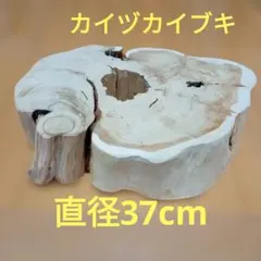 カイヅカイブキ スツール 4 - メルカリ