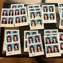 seju 証明写真風 バラ売り フォトカード セットこぞのいねねだけ売れて