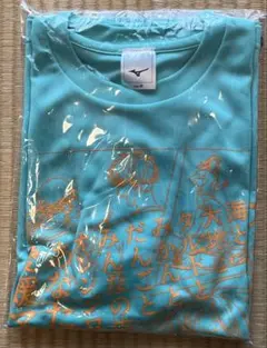 2026愛媛マラソン Tシャツ Mサイズのサムネイル