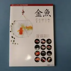 Item thumbnail for item 7572a4c1-d7e5-4b71-bd17-2b3a62207094