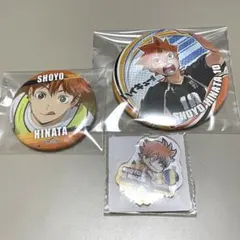 ハイキュー 日向翔陽 缶バッチ アクリルスタンド まとめ売り