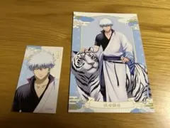銀魂 坂田銀時 東武動物公園 曇天 グッズセット - メルカリ
