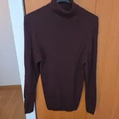 Item thumbnail for item 44a53765-6d28-40ca-8986-dce0ee97864c