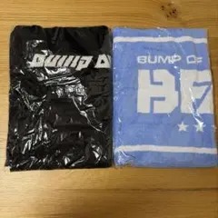 2026年最新】BUMP OF CHICKEN 2008 タオルの人気アイテム - メルカリ