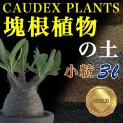 塊根植物の土Gold小粒3㍑培養土　パキポディウム・アデニウム等　グラキリスのサムネイル