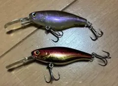 Item thumbnail for item d25b2bf5-f12a-4ec4-837f-9f299d6dd662