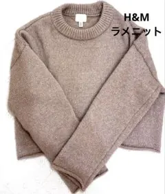 シャギーニット ニット