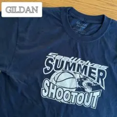 Item thumbnail for item 8fa236d6-5149-4660-9241-e11dad7d4ca3