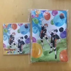 ハイキューファンパーク　合皮プラットポーチ