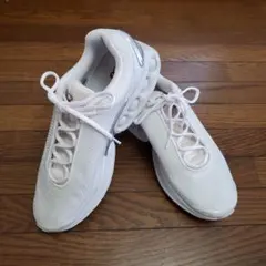 【美品】NIKE Air Max Dn 29.0cm