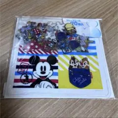 シール　ディズニーストアー　フレークシール　70枚