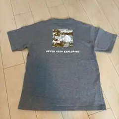 THE NORTH FACE グレー Tシャツ