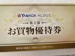 YAMADA お買物優待券 10枚セット 5000円分